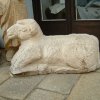 ovce - socha